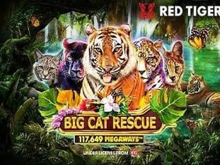 Big Cat Rescue Megaways™ game thumbnail